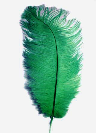 Ostrich Feather Plume - DARK GREEN